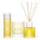 Restorative Aromatic Ritual (Worth $152)