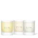 Signature Candle Collection (Worth $99)