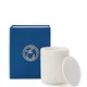 Winter Spice Candle 240g